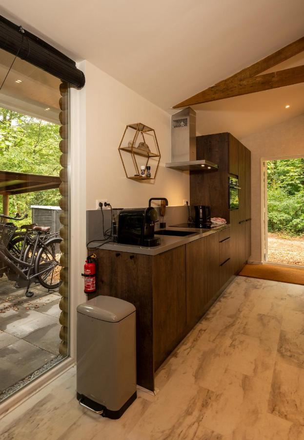 Zen-Bungalow No 4 Met Sauna En Hottub Rheezerveen Экстерьер фото