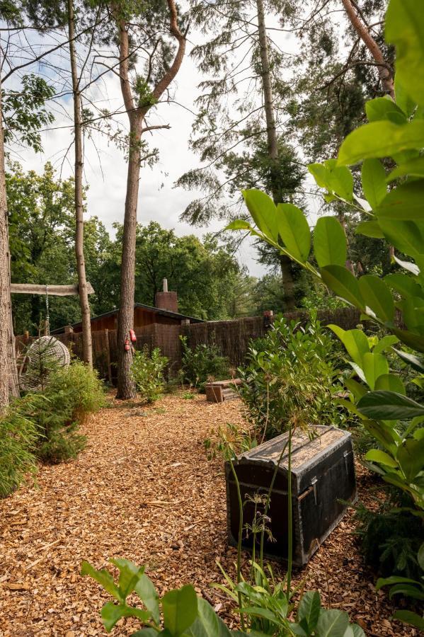 Zen-Bungalow No 4 Met Sauna En Hottub Rheezerveen Экстерьер фото